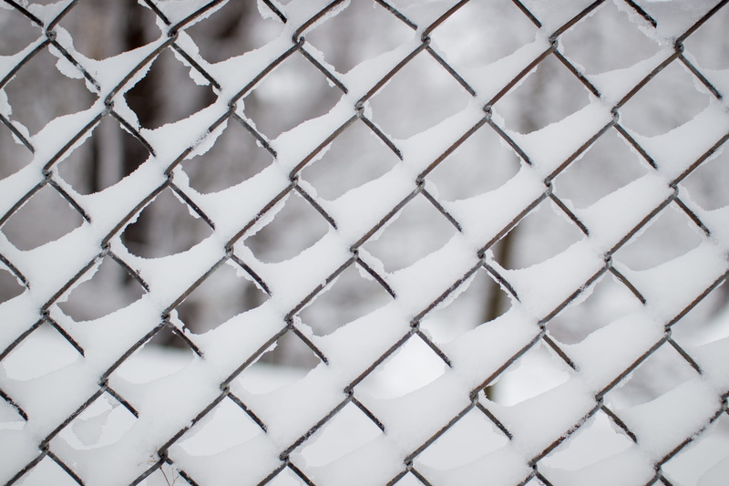 snowstorm, indoors, shape, chain link fence, wet, full frame, heavy, white, wire, close-up, fence, barrier, tree, iowa, protection, december, boundary