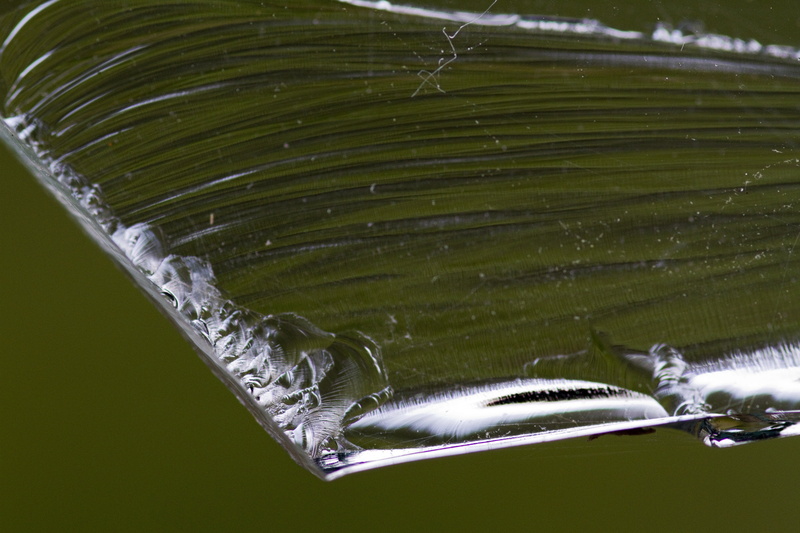 animal body part, pattern, nature, 5K, no people, swimming, sea, structure, animal wildlife, motion, marine, edge, close-up, glass, underwater, water