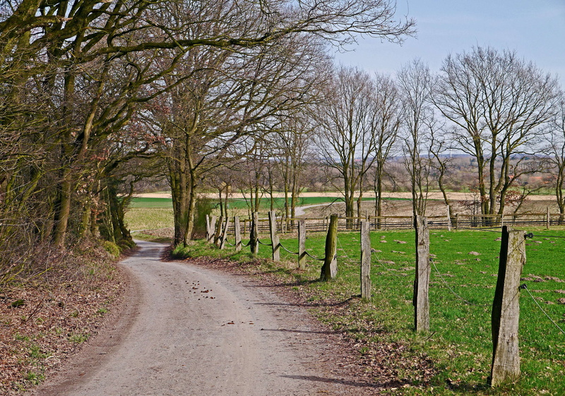 fence, rural, flat, tranquil scene, 4K, landscape, meadow, arable, tree, agriculture, pasture fence, no people, forest, vanishing point, parklandschaft