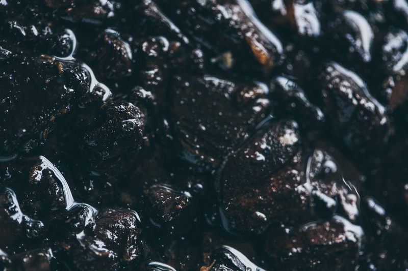 animal wildlife, freshness, full frame, indoors, art, black color, black, no people, earth, shell, floral, selective focus, temptation, fruit, wet, seafood