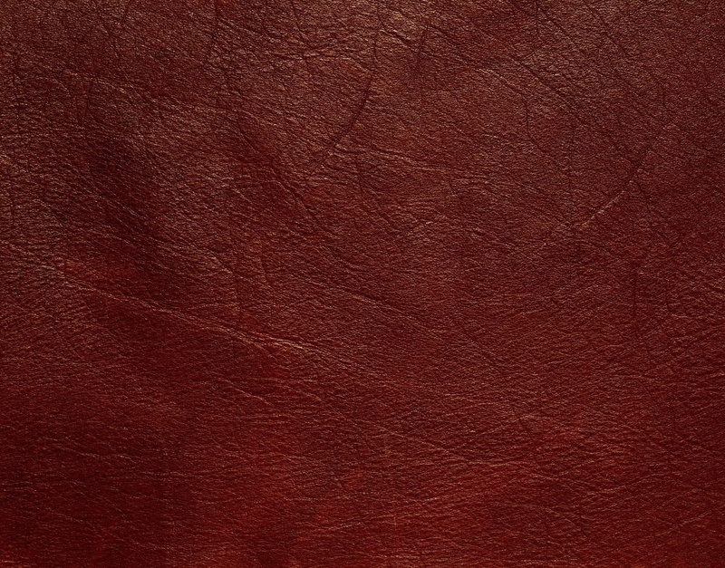 crumpled, fashion, old, surface level, texture, abstract, extreme close-up, blank, macro, leather, skin, veins, textured effect, backgrounds, copy space