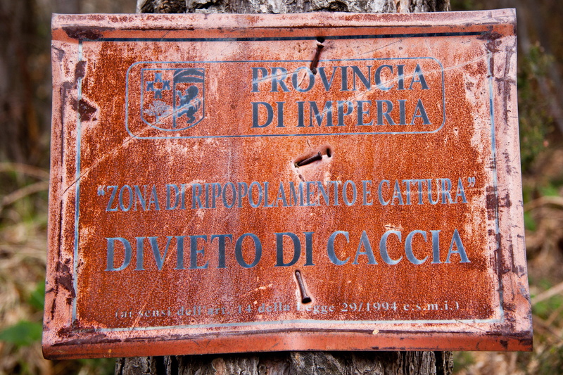 no people, information, sign, focus on foreground, italy, rust scratched, arrow symbol, road sign, close-up, western script, rusted, script, guidance, non-western script