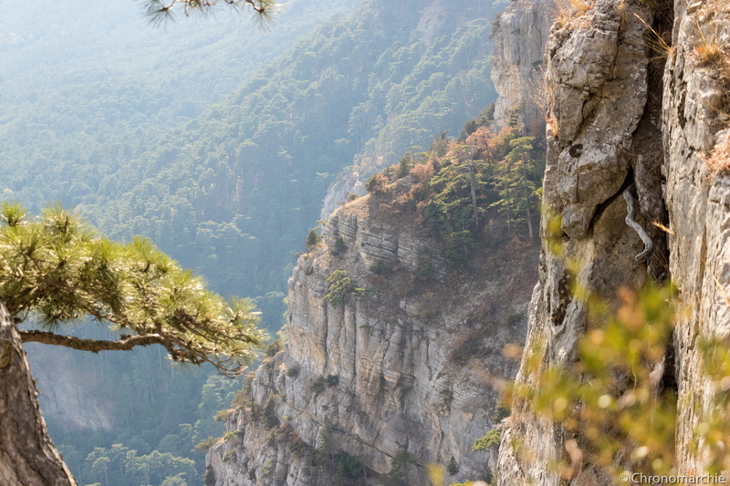 solid, high angle view, tranquility, rock, idyllic, nature, mountain range, coniferous tree, lone peak, beauty in nature, non-urban scene, rock formation