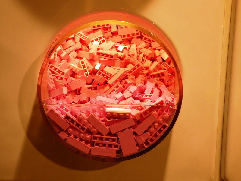 children, pads, indoors, science, toys, geometric shape, education, petri dish, business, analyzing, reflection, colorful, pink, biology, lego blocks, yellow