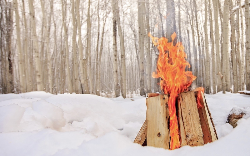 1080P, winter, wood, snow, trees, cold, fireplace