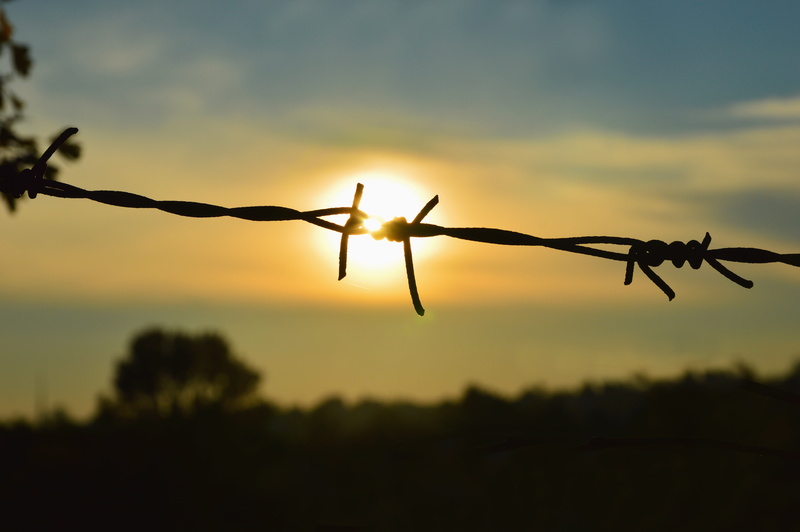 exclusion, safety, 5K, protection, rip, silhouette, prison, barbed Wire, fence, focus on foreground, nature, liberation, outdoors, sharp, barrier, boundary