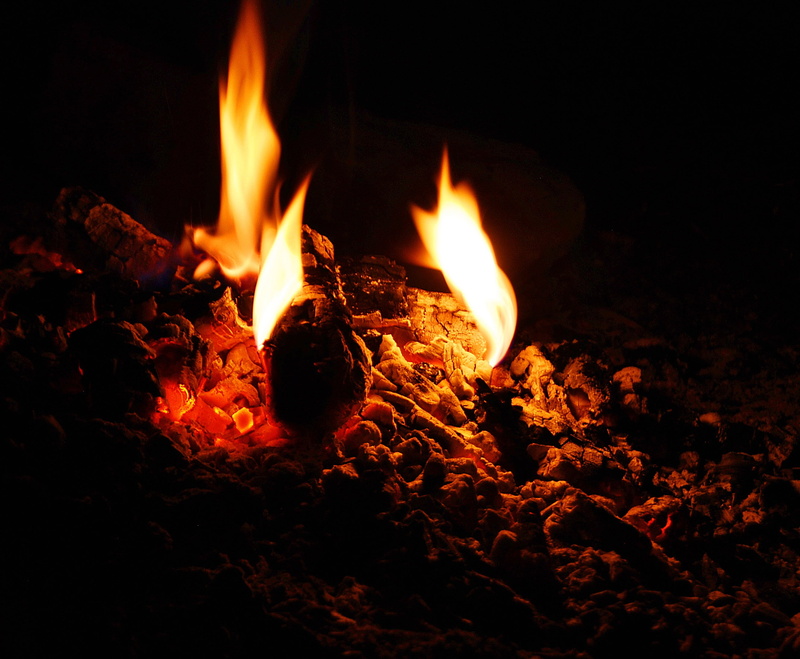 environment, heat - temperature, burning, log, the flame, camping trip, censer, dark, photo, fire, an outbreak of, hot, firewood, yellow, wood - material