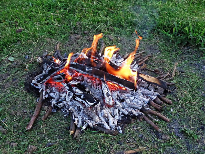 log, smoke, to cook on the grill, eating, fire, high angle view, grate, bonfire, field, 4K, outdoors, day, warm, land, sausage, glowing, burn, flames