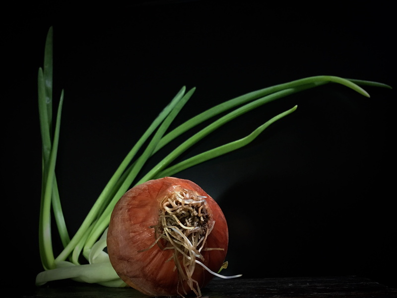 root vegetable, close-up, roots, smell, green, flavor, food and drink, onion, natural, healthy eating, 4K, stems, leaves, black background, outbreak, vegetable