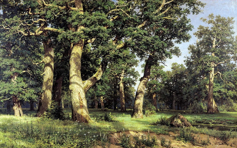beauty in nature, growth, land, nature, non-urban scene, no people, 1080P, Art, landscape, tree, Reproduction, sunlight, Shishkin, Wood, outdoors, Edge