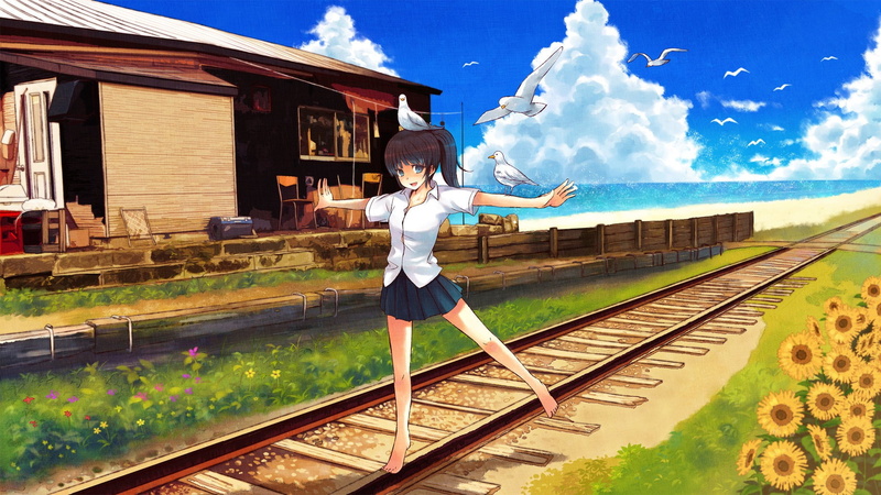 girls, seagulls, railroad, 1080P, railroad tracks, tracks, x, animals, anime, BIRDS, hd, art