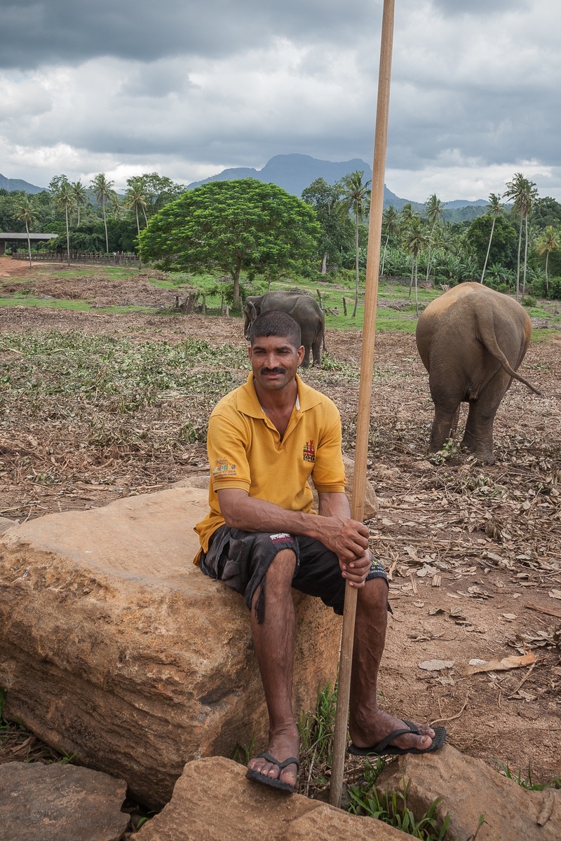 mid adult men, real people, lifestyles, tree, caregiver, day, plant, mammal, one person, mid adult, 1080P, nature, front view, males, sitting, adult, animal