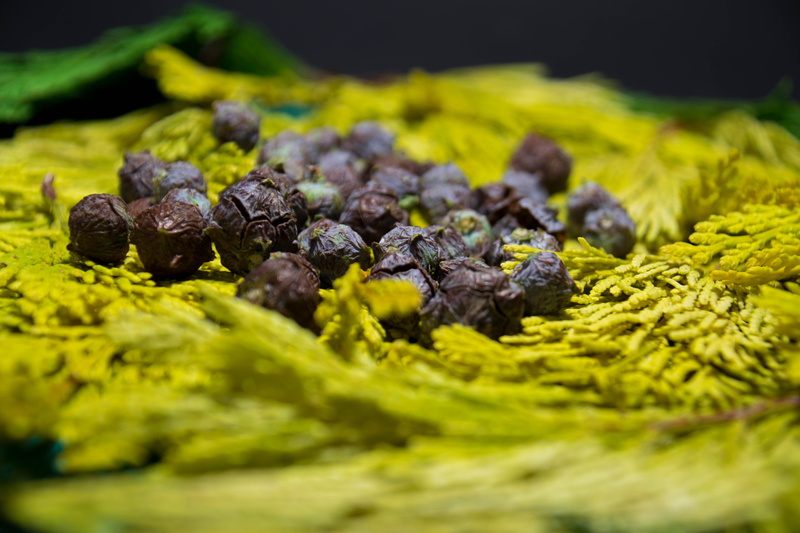 5K, healthy eating, abundance, studio shot, dried food, organic, close-up, ingredient, vegetable, raisin, no people, wellbeing, nature, food, food and drink