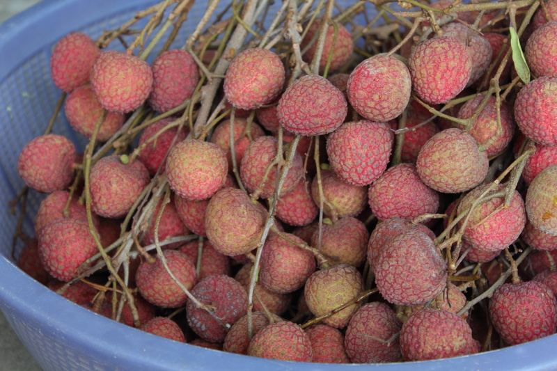 large group of objects, taiwan, food, fruit, tropical fruit, freshness, gourmet, litchi, organic, healthy Eating, bowl, close-up, basket, market, food and drink