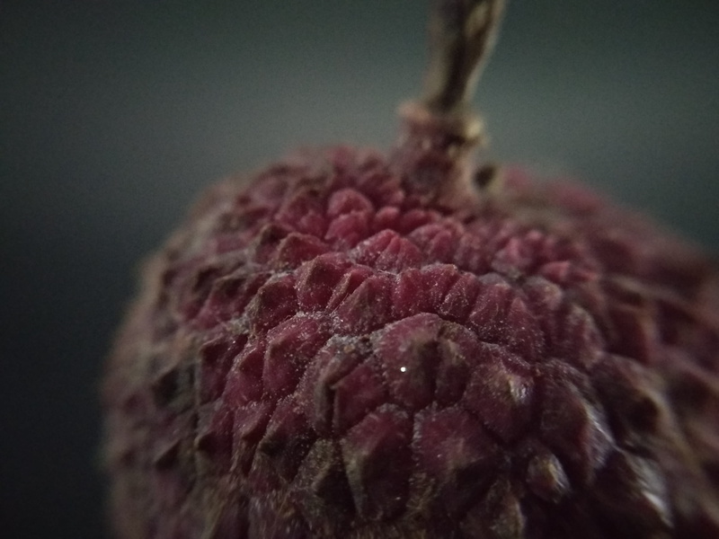 colored background, plant, close-up, pink color, food and drink, 4K, fruits, purple, raja nagar road, litchi, focus on foreground, india, flower, freshness