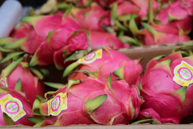 fruit, petal, flower, large group of objects, fruits, close-ups, philadelpha, dragon fruit, text, focus on foreground, pink, communication, plant, pink color