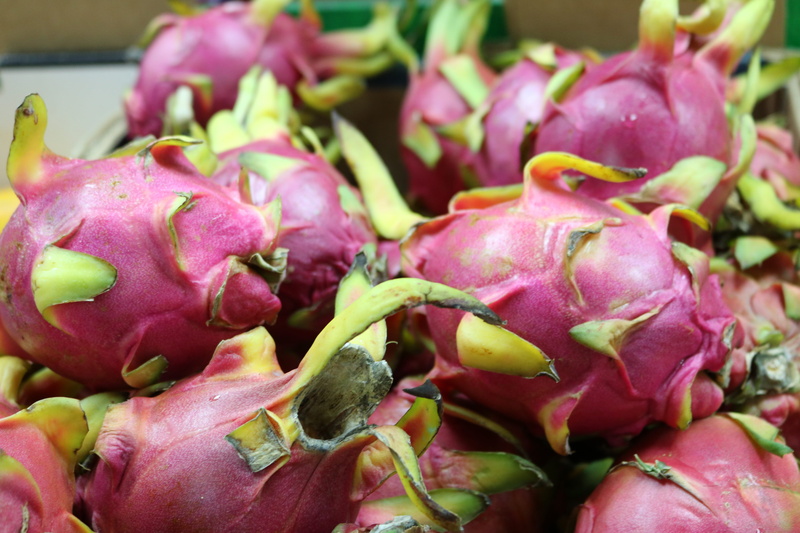 dahlia, close-up, geranium, wellbeing, retail, food and drink, leaf, no people, pink color, bird, dragonfruit, flower, pitaya, day, food, large group of objects