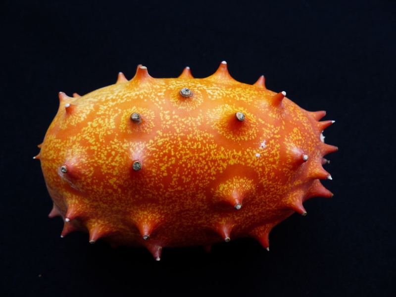 focus, no people, cucurbitaceae, underwater, exotic, prickly, freshness, black background, spiked, close-up, cook, healthy eating, orange color, cucumis metuliferus
