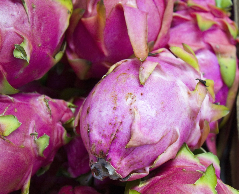 growth, healthy, pinkg, beauty in nature, no people, flower, flowering plant, food and drink, organic, close-up, healthy eating, dragonfruit, 2K, freshness