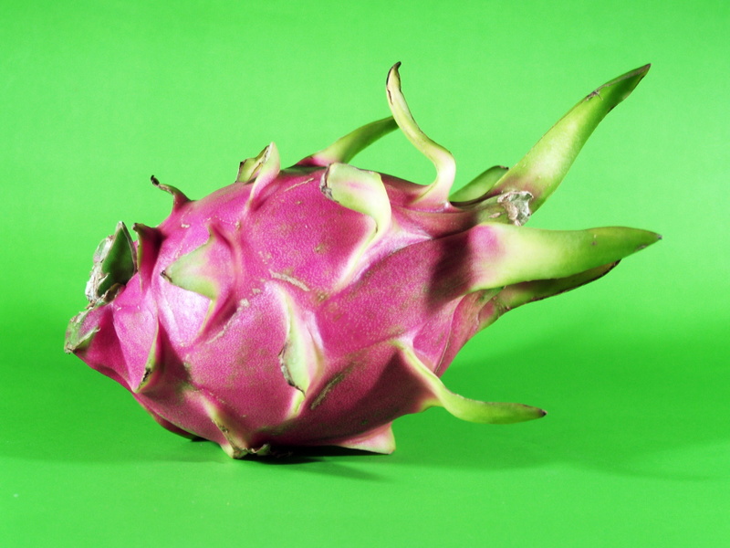 freshness, pink, colored background, wellbeing, 2K, food, single object, dragon fruit, no people, exotic, studio shot, beauty in nature, dragon, pink color