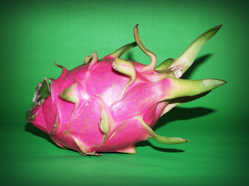 macro, background, plant part, food and drink, close-up, pitaya, green background, no people, bright, food, green color, single, colored background, dragon