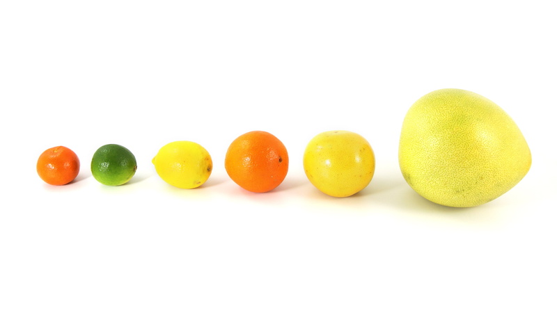 wellbeing, balance, food and drink, 4K, in a row, copy space, studio shot, freshness, pomelo, yellow, fruits, citrus, food, healthy eating, white, group