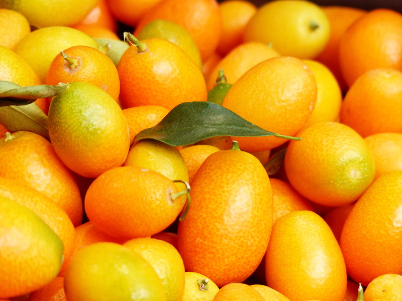 orange - fruit, diamond green, close-up, food, large group of objects, heap, market, golden yellow, fortunella, orange, ripe, kumquats, freshness, consumerism