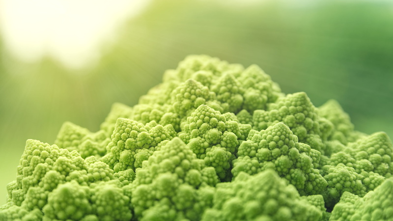 macro, broccoli, green color, green, healthy eating, close up, vitaminhaltig, focus on foreground, vegetarian, selective focus, close-up, nature, romanesco