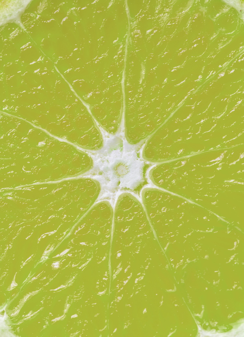 green color, fruit, vitamin c, fresh, single object, citrus, lime, cross section, slice, juicy, food and drink, wellbeing, lemon, citric, food, healthy eating