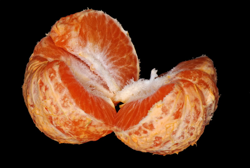 food and drink, close-up, gourmet, delicious, natural, orange, wellbeing, nutrition, studio shot, fresh, health, orange color, citrus fruit, diet, citrus