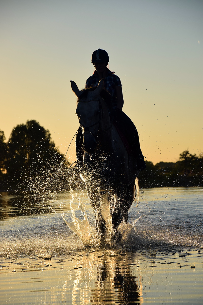 nature, waterfront, splashing, evening, water, clear sky, sky, people, ride, rinding, men, sunset, sunlight, real people, 5K, person, horse, sea, sport