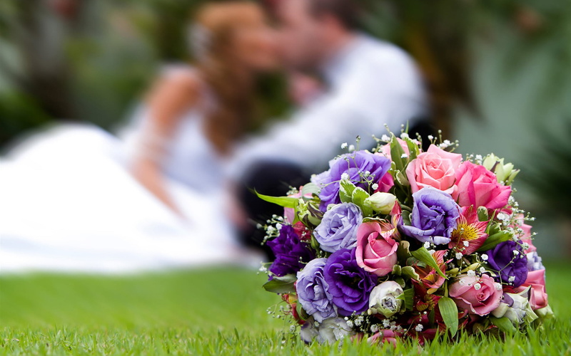bitter, gift, romance, life events, beauty In Nature, flower arrangement, petal, green Color, purple, celebration, outdoors, love, bride, backgrounds, decoration