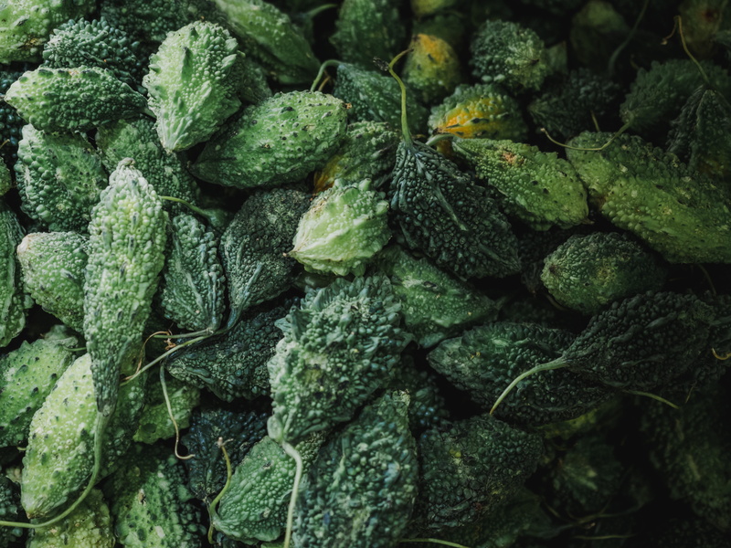 green color, mint leaf - culinary, freshness, gourds, green, food and drink, raw food, vegetarian food, pumpkins, backgrounds, bittermelon, wellbeing, abundance