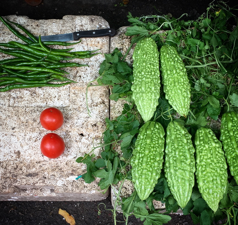 tomatoes, tomato, high angle view, beside, wellbeing, raw food, herb, salad, plant part, organic, bitter, food and drink, 2K, healthy eating, food, fruit