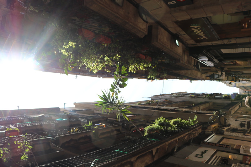 city, spain, no people, plants, architecture, lens flare, plant, sun, building, building exterior, nature, sky, growth, narrow street, roof tile, barcelona