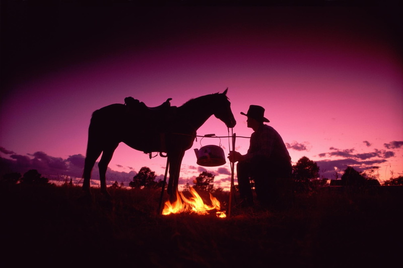 domestic, scenics, desert, outdoors, herbivorous, dusk, men, non-Urban Scene, The fire, sky, sunset, domestic animals, riding, travel, camel, sunrise - Dawn