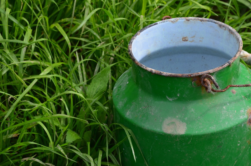 healthy, 4K, rural, Farm, tool, organic, green Color, Milking, growth, close-up, work, animal, Food, metal, rustic, grass, container, still life, one animal