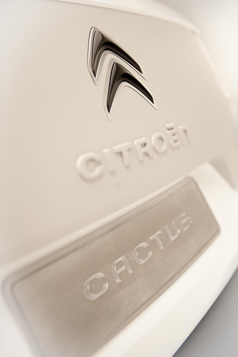 silver colored, white color, business, studio shot, citroen, 2K, indoors, car, cactus, purity, communication, wealth, organization, selective focus, no people