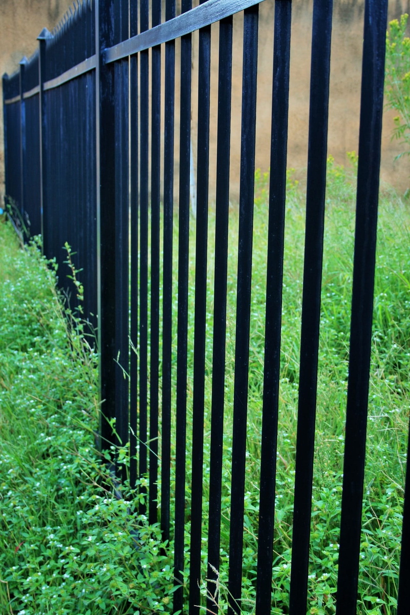 black, Strong, land, Fence, organic, sunlight, herb, botany, agriculture, iron, vegetation, horticulture, plant, safety, nature, barrier, botanical, Security