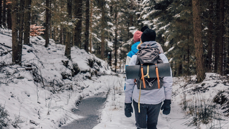 winter, adult, tree trunks, people, trees, two, walking, mountain, lifestyles, clothing, leisure activity, footpath, backpack, positive emotion, beanie