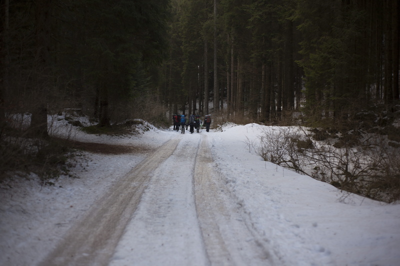 road, outdoors, trees, snow, frosty, ice, woodland, winter, leisure activity, walking, diminishing perspective, direction, scenic, season, woods, hiking