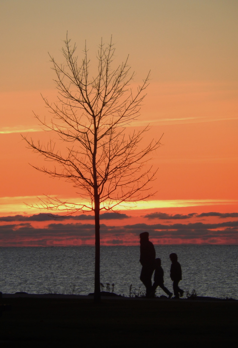 adult, sea, bare, 4K, near, stroll, land, family, two people, real people, early, beach, one, two, sky, kids, water, nature, tranquil scene, hour, silhouette