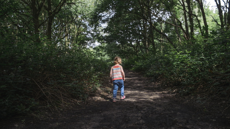 childhood, day, image Type, males, outdoors, ethnicity, real people, caucasian Ethnicity, pathway, color Image, woods, forest, time Of Day, In the woods