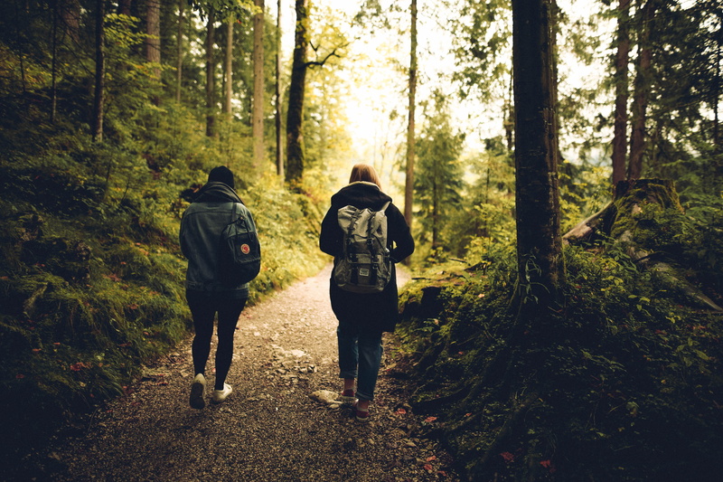 pathway, leaves, friends, walking, 5K, woods, nature, outdoors, backpack, forest, hiking, tree, people, friendship, activity, full length, plants, plant