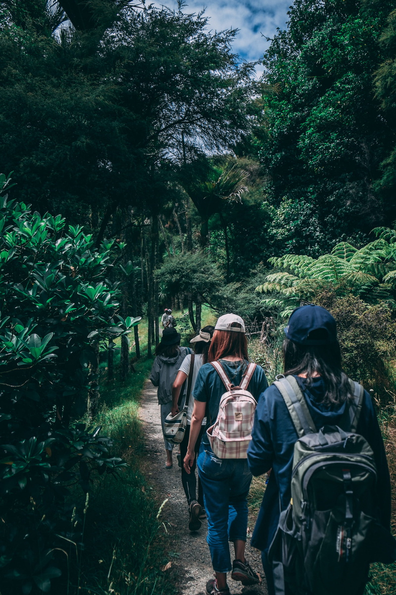 casual clothing, plants, backpacker, men, road, backpacks, wearing, landscape, growth, recreation, explore, friendship, green color, forest, casual, path
