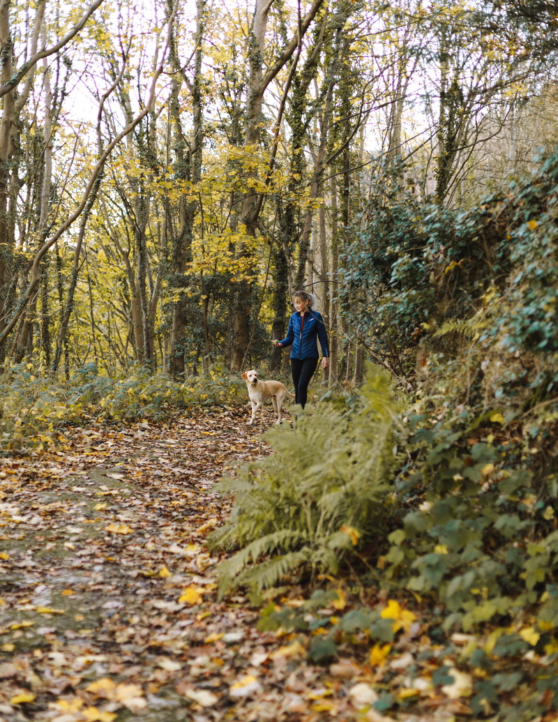 owner, plant, wood, real people, foliage, pathway, rear view, lifestyles, change, environment, landscape, hike, leisure activity, tree, woman, autumn, adventure
