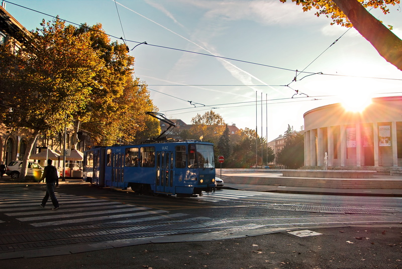 daytime, black, plant, zebra crossing, sun, nature, landscape, trees, crosswalk, near, building exterior, 4K, street, sunlight, public transportation