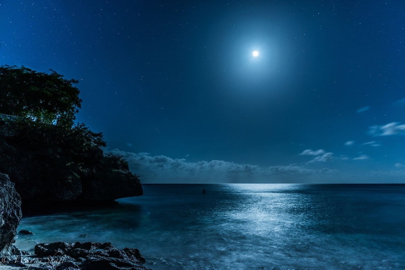 blue, moonlight, sea, Caribbean, Starry Night, beach, island, landscape, 720P, Moon, nature