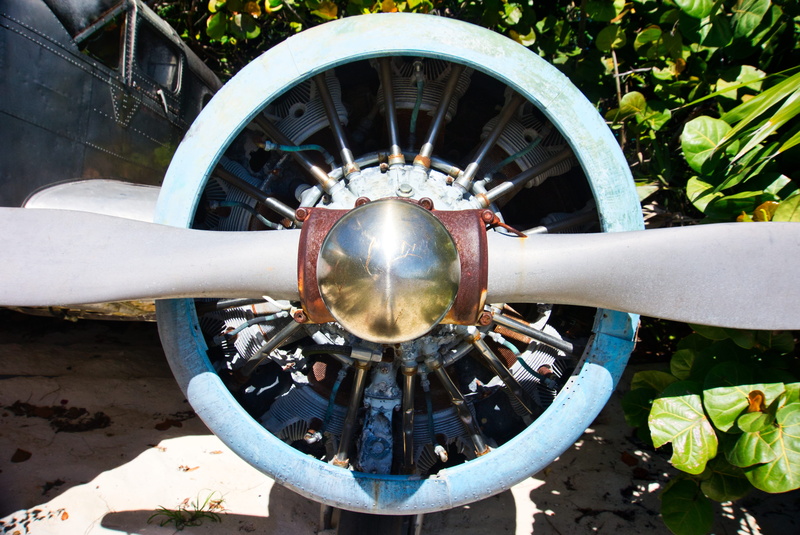 no people, circle, geometric shape, machinery, wheel, high angle view, metal, outdoors, nature, old, castaway cay, mode of transportation, plant, 5K, close-up