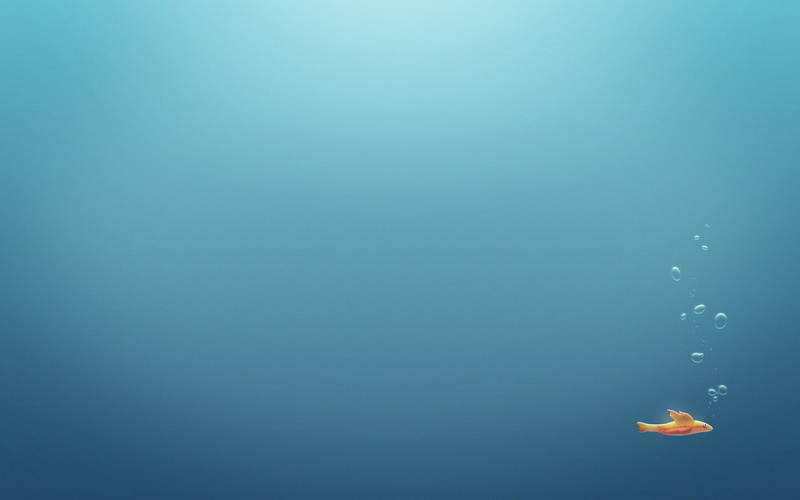 pools, bubble, underwater, aquariums, water, minimalism, bubbles, fish, sea, 1080P, the ocean